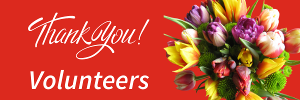 Image shows bouquet of tulips with the words, Thank You Volunteers